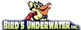 Birds Underwater Logo