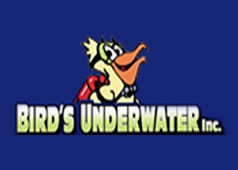 About Birds Underwater