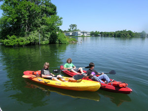 crystal river kayak rentals